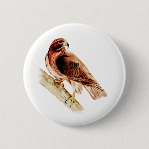 Roter Schwanz-Falke Button