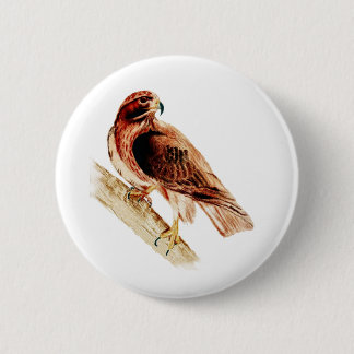 Roter Schwanz-Falke Button