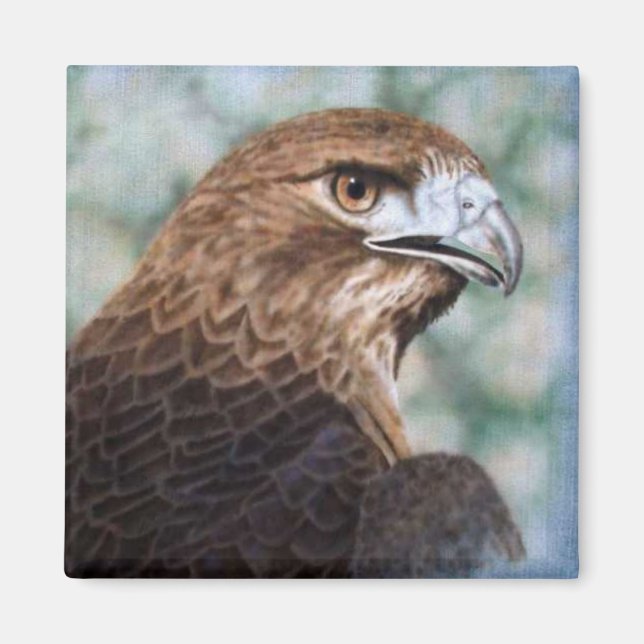 Roter Schwanz-Hawk-Airbrush Magnet (Vorne)