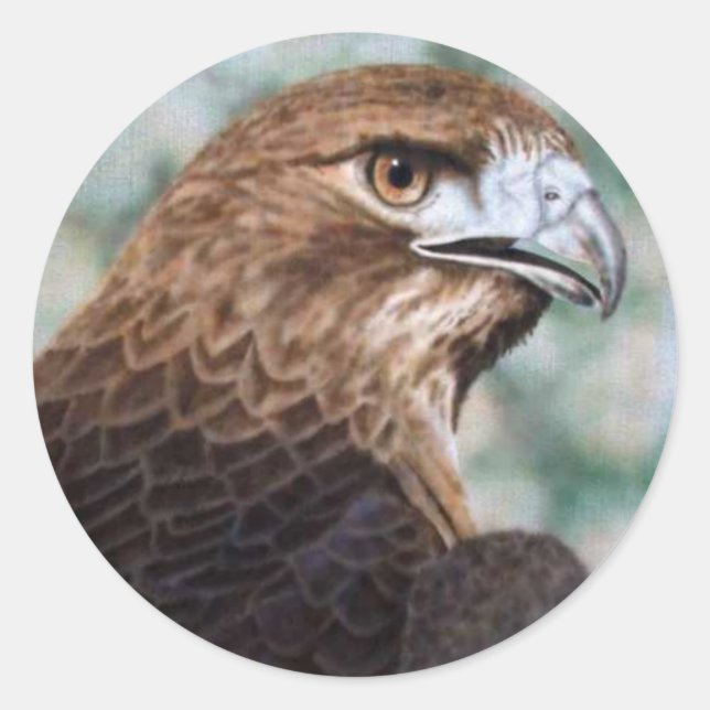 Roter Schwanz-Hawk-Airbrush Runder Aufkleber (Vorderseite)