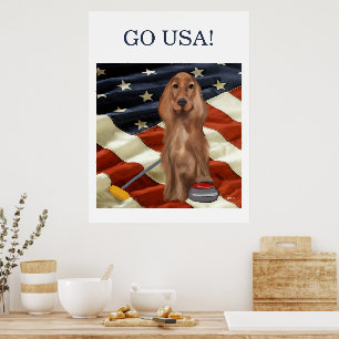 ROTER SETTER CURLING POSTER