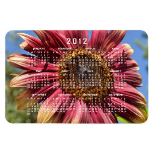Roter Sonnenblume-Kalender-Magnet Magnet