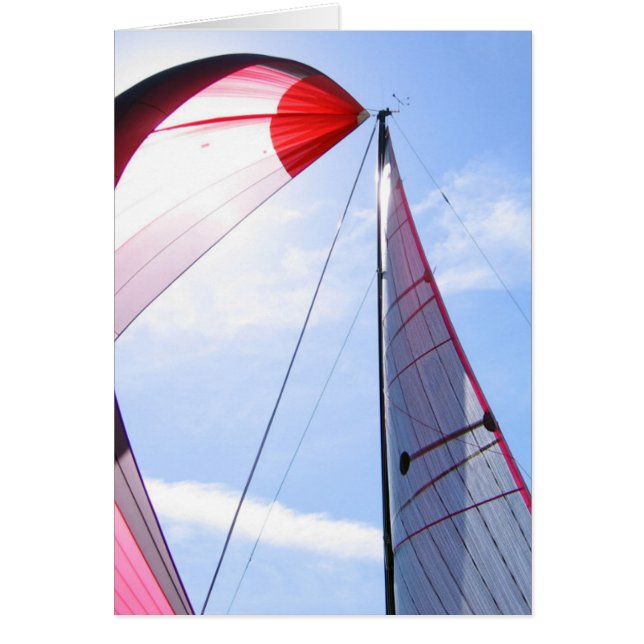 Roter Spinnaker mit Sun (Vorne)