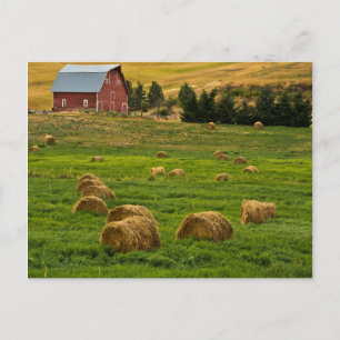 Roter Stall, Heu-Ballen, Albion, Palouse-Gebiet 2 Postkarte