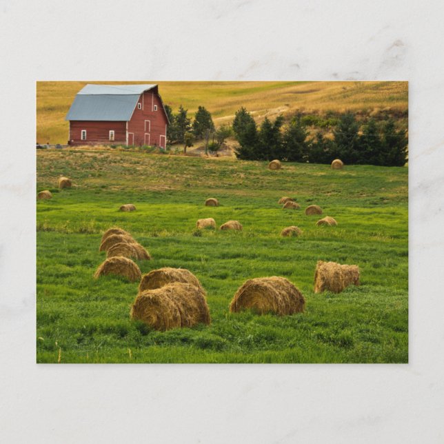 Roter Stall, Heu-Ballen, Albion, Palouse-Gebiet 2 Postkarte (Vorderseite)