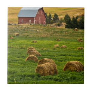 Roter Stall, Heuballen, Albion, Palouse Area 2 Fliese
