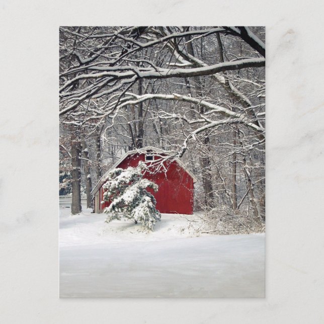Roter Stall im Schnee 2011 Postkarte (Vorderseite)