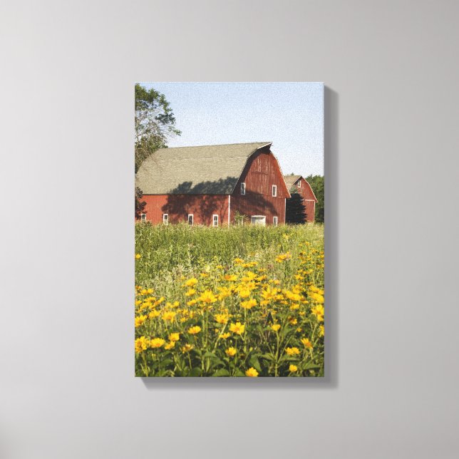 Roter Stall mit gelben Wildblumen Leinwanddruck (Vorderseite)