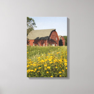 Roter Stall mit gelben Wildblumen Leinwanddruck