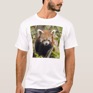 Roter T - Shirt Panda-023