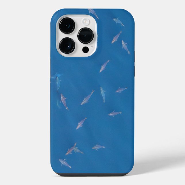 Roter Thunfisch-Kartentransport iPhone 14 Pro Max Hülle (Rückseite)