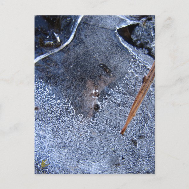 Roter Totem, Schwarzer Vogelkorb Postkarte (Vorderseite)