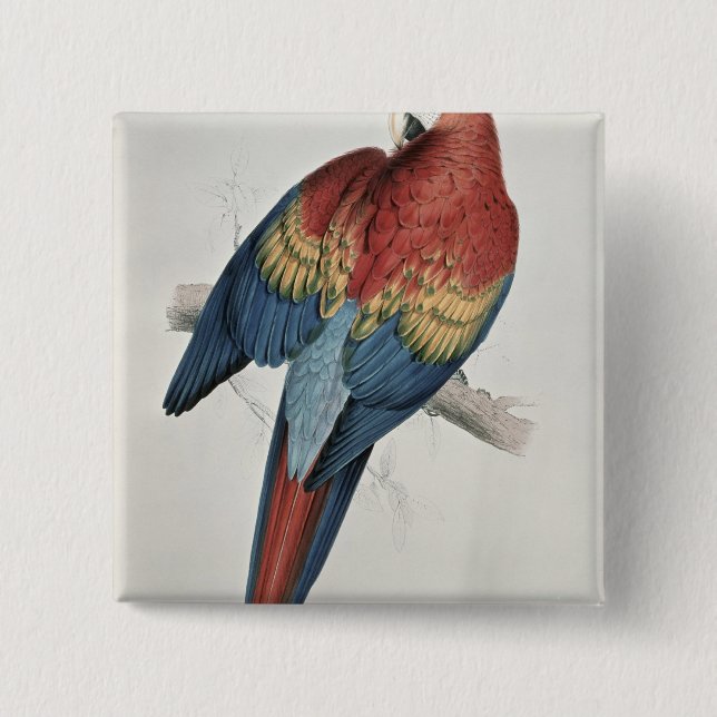 Roter und gelber Macaw Button (Vorderseite)