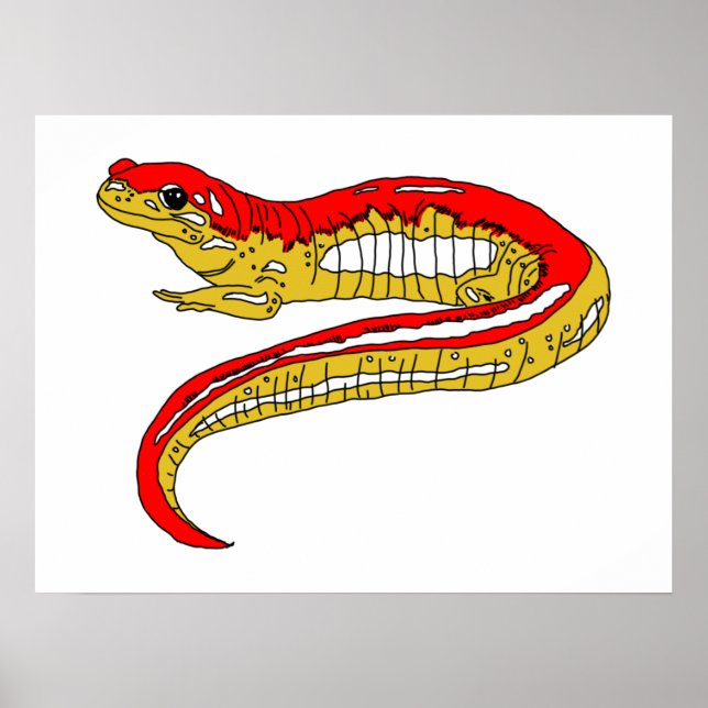 Roter und Gelber Salamander Poster (Vorne)