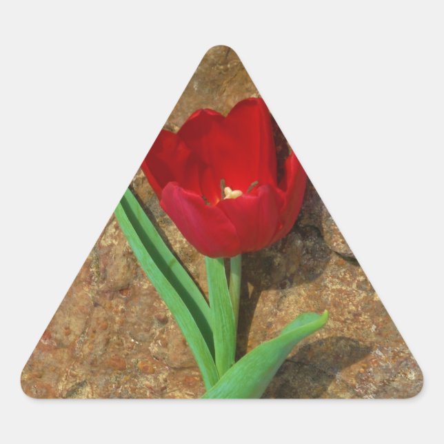Roter und Gelber Tulip Dreieckiger Aufkleber (Vorderseite)