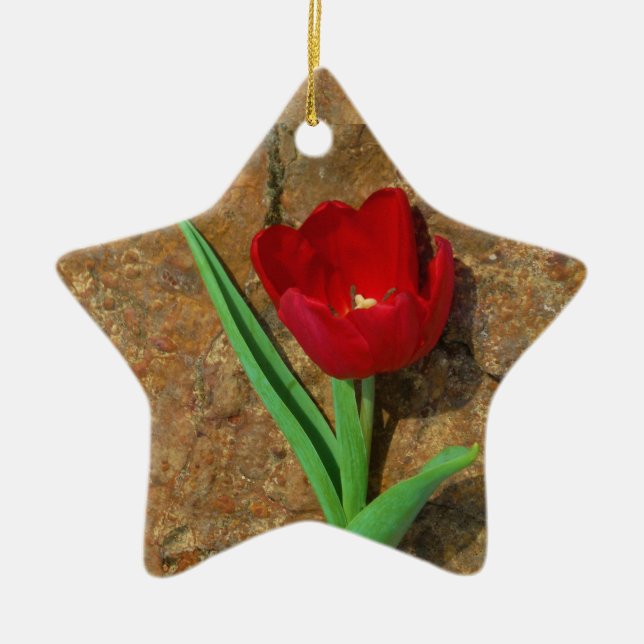 Roter und Gelber Tulip Keramikornament (Vorne)