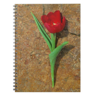 Roter und Gelber Tulip Notizblock