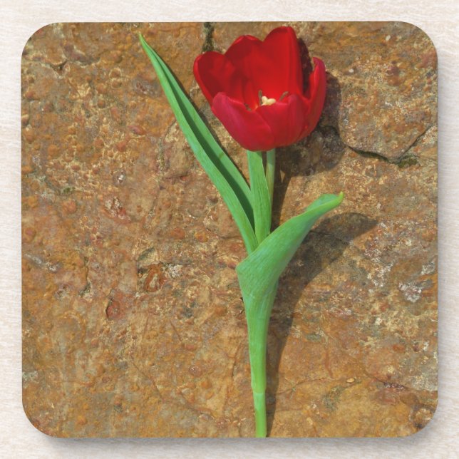 Roter und Gelber Tulip Untersetzer (Vorderseite)