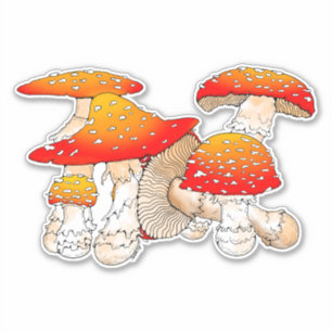 Roter und orangefarbener Pilz Aufkleber