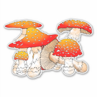 Roter und orangefarbener Pilz Aufkleber