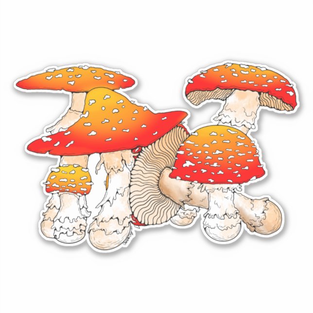 Roter und orangefarbener Pilz Aufkleber (Vorderseite)