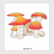 Roter und orangefarbener Pilz