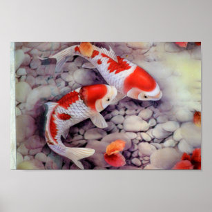 Roter und weißer Koi-Fischteich Poster