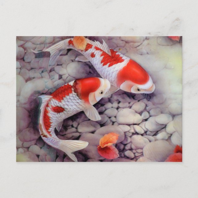 Roter und weißer Koi Fischteich Postkarte (Vorderseite)