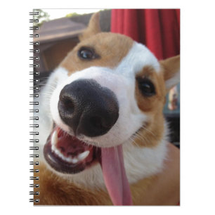 Roter und weißer Pembroke-WaliserCorgi Notizblock