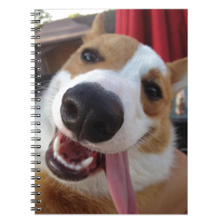 Roter und weißer Pembroke-WaliserCorgi Notizblock