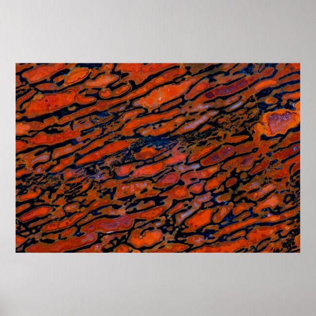 Roter verdünnter Dinosaurierknochen Poster (Vorne)