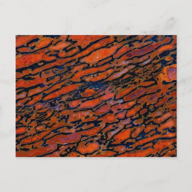 Roter verdünnter Dinosaurierknochen Postkarte (Vorderseite)