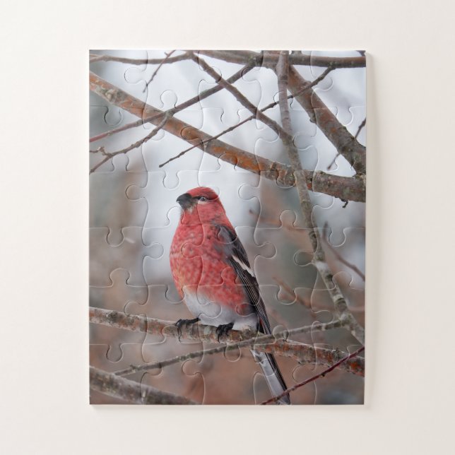 Roter Vogel im Winterschnee (Vertikal)