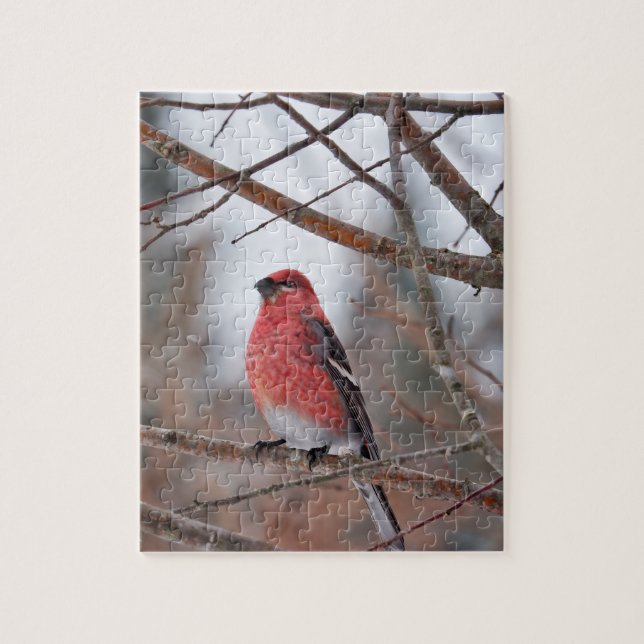 Roter Vogel im Winterschnee (Vertikal)