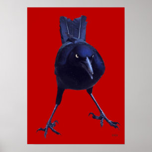 Roter Vogel Poster