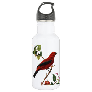 Roter Vogel Trinkflasche