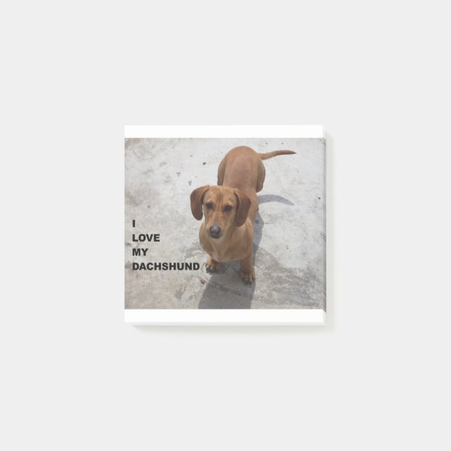 roter voller Liebe w der Dackel pic Post-it Klebezettel (Vorderseite)