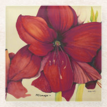 Roter Weihnachtsamaryllis-Glas-Untersetzer
