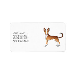 Roter & Weißer Ibizan Hound mit glattem Fell Hund Adressaufkleber