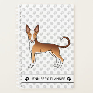 Roter & Weißer Ibizan Hound mit glattem Fell Hund Planer
