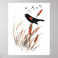 Roter Wing Blackbird Natur Kunst