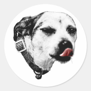 Roter Zungen-Terrier Aufkleber – Wink & Sass