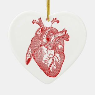 Rotes anatomisches Herz Keramikornament