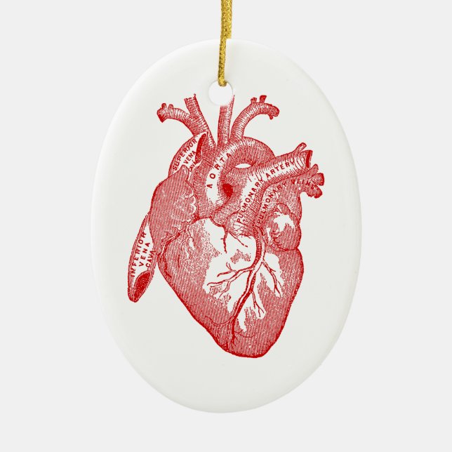 Rotes anatomisches Herz Keramikornament (Vorne)