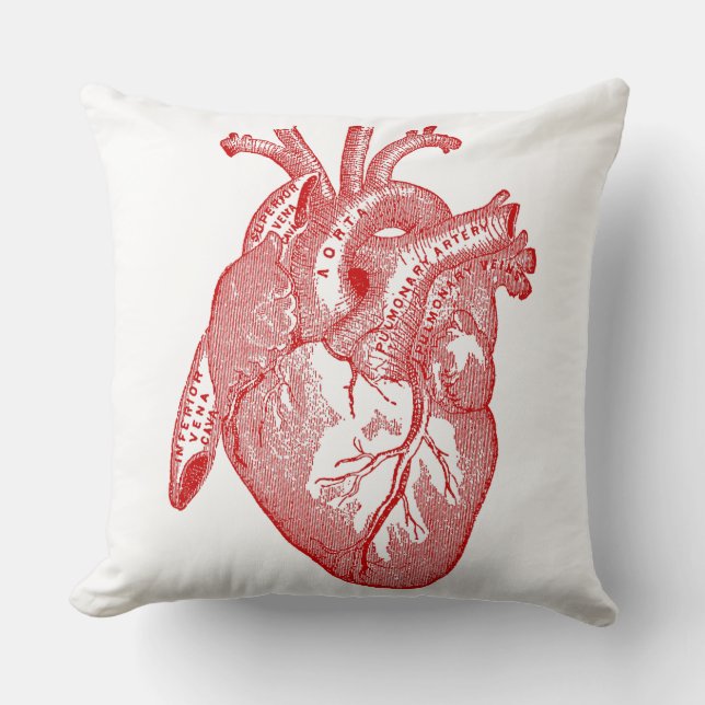 Rotes anatomisches Herz Kissen (Vorderseite)