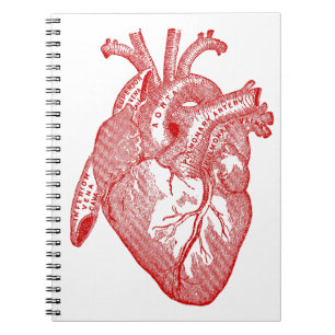 Rotes anatomisches Herz Notizblock