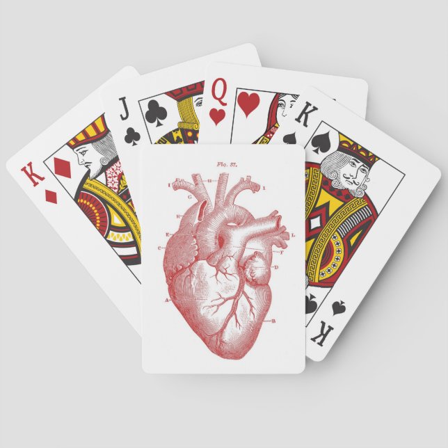 Rotes anatomisches Herz Spielkarten (Rückseite)