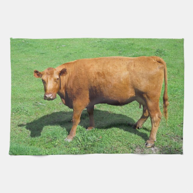 Rotes Angus Geschirrtuch (Horizontal)