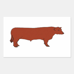 Rotes Angus Stier Rechteckiger Aufkleber
