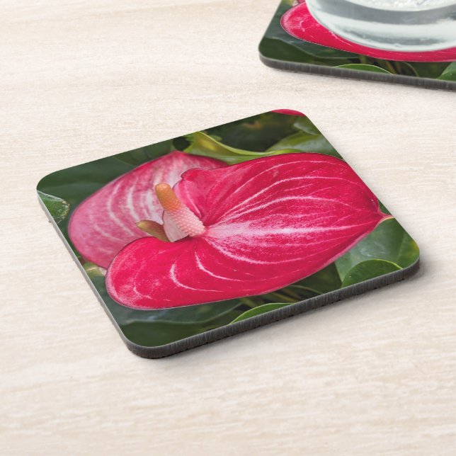 Rotes Anthurium Bloom Floral Getränkeuntersetzer (Linke Seite)